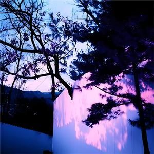 韩国人与小羊小马配对黄色一级片
